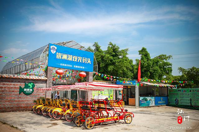 银湖湾湿地公园