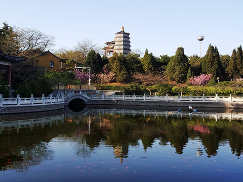 中山公园