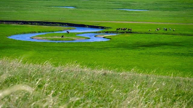 锡林郭勒草原