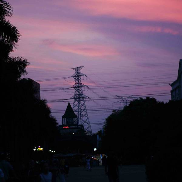 2019荷兰花卉小镇门票,深圳荷兰花卉小镇游玩