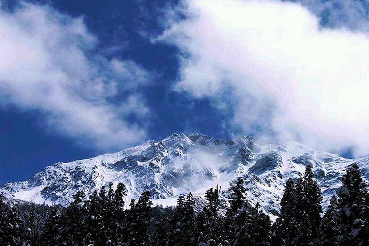 "经过昨天海拔较高的梦笔山，我觉得我爬玛嘉沟这座雪山完全不用担心高反了。木栈道上的羊群_玛嘉沟"的评论图片