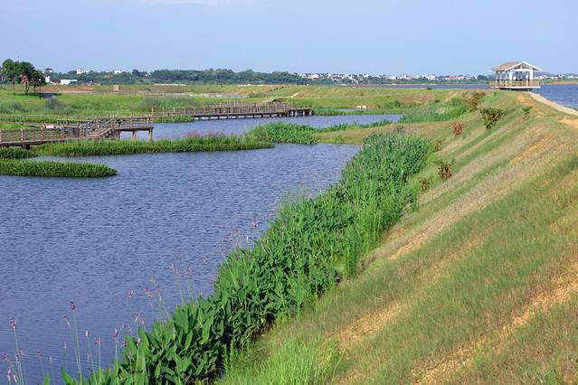 鄱阳湖国家湿地公园