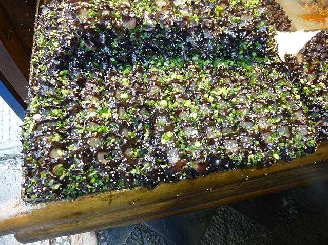 石板花像不像海参.