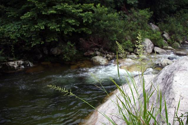 大别山国家森林公园