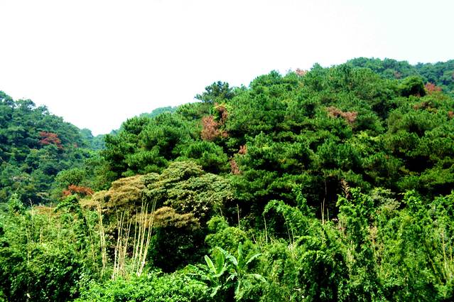 飞霞风景名胜区
