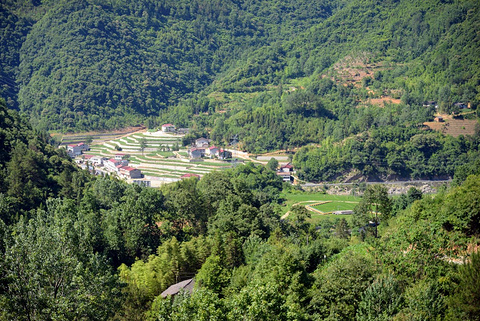 七彩稻田风景区旅游景点攻略图