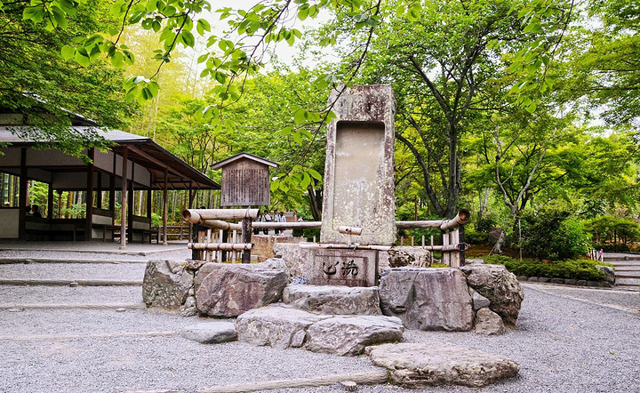 2017这里是京都人公认看樱花最美的地方_岚山