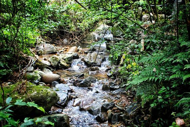 千岛湖森林氧吧