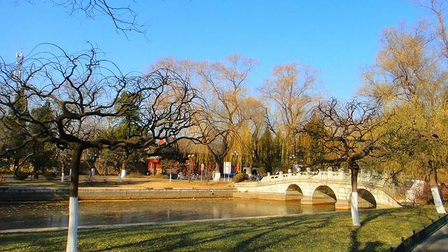 北京大学-未名湖