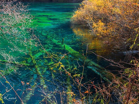 2019金铃海_旅游攻略_门票_地址_游记点评,九寨沟旅游景点推荐 - 去