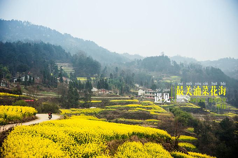 双坪梯田旅游景点攻略图