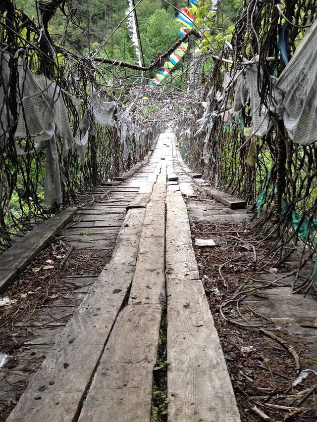 拉月藤网吊桥