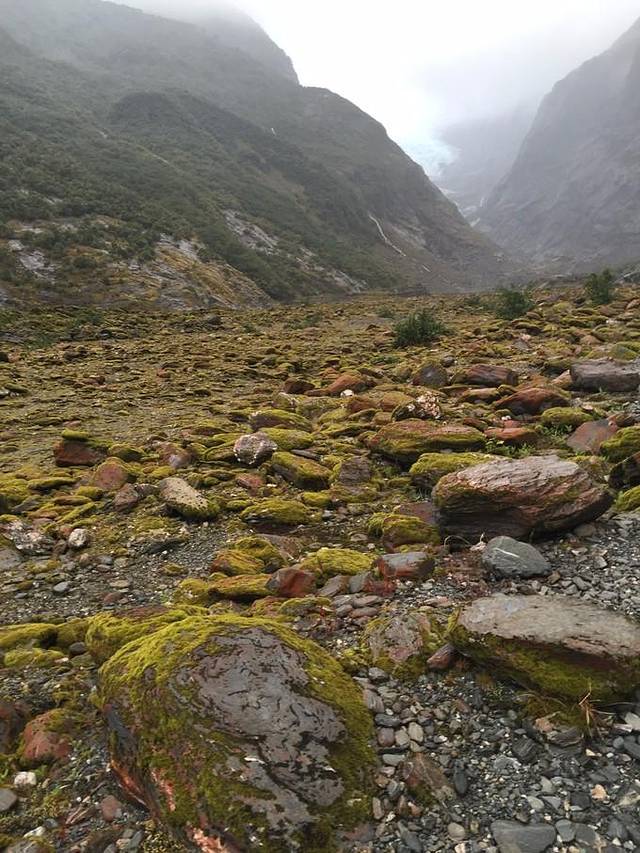 弗朗兹.约瑟夫冰川
