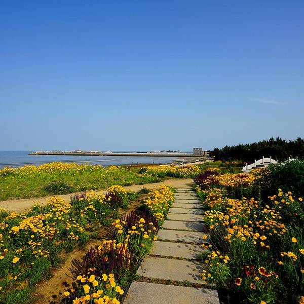 2016桃花岛风情园_旅游攻略_门票_地址_游记点评,日照旅游景点,酒店