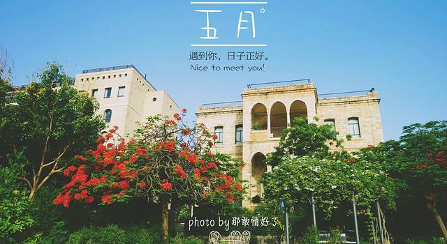 #东南DX3夜猫行动#领略超出想象的以色列之