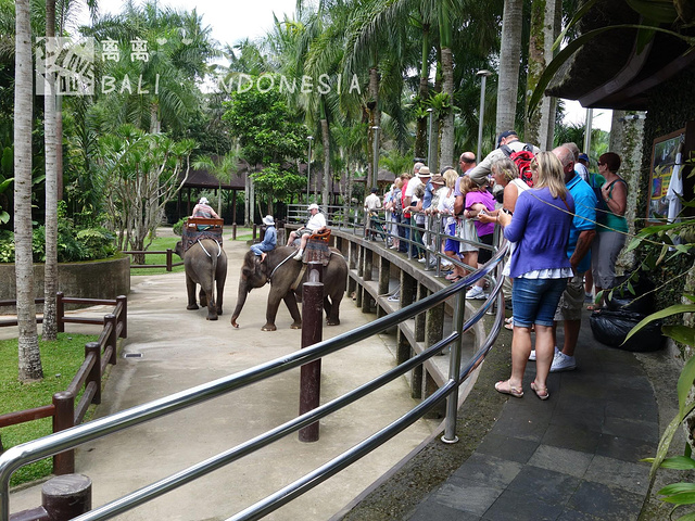 "...游览，以及一些给小象洗澡、给大象喂食等活动，是属于比较轻松的，离离觉得非常适合亲子和家庭过来玩_巴厘岛大象公园"的评论图片
