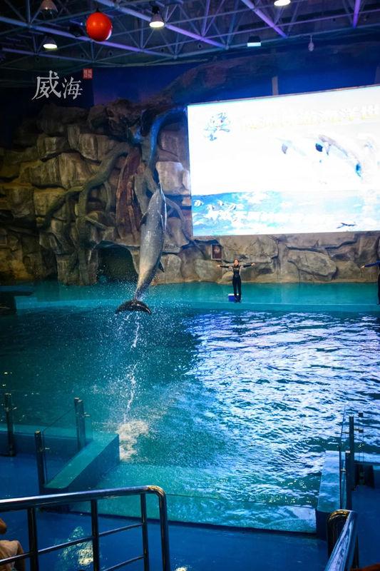 威海神游海洋世界