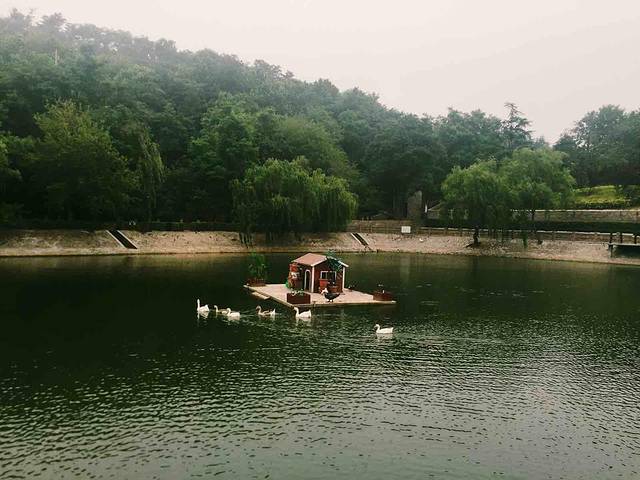 青岛北岭山森林公园