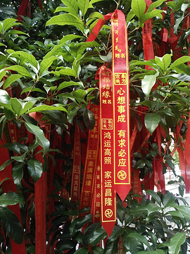 卓刀泉寺