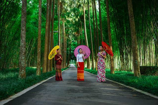 奔走在北纬21度,恋上傣乡雨林的那阵风