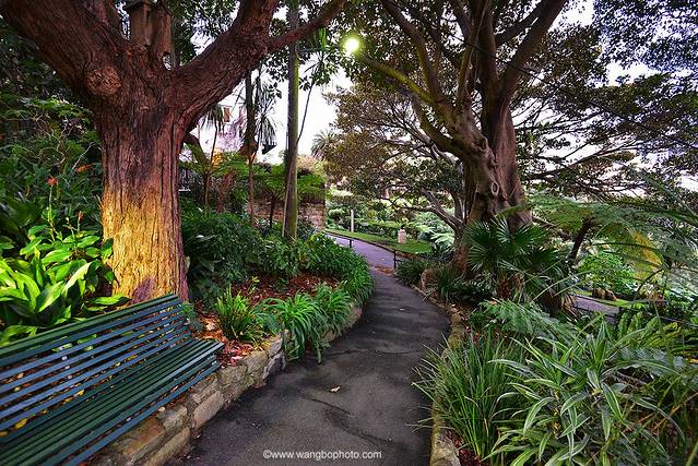 温迪的神秘花园