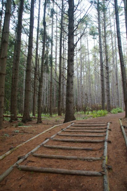 洞爷湖森林公园