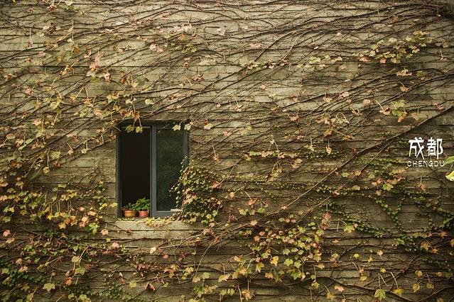 鹿野苑石刻艺术博物馆