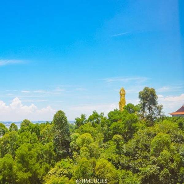 2019莲花山旅游区门票,广州莲花山旅游区游玩