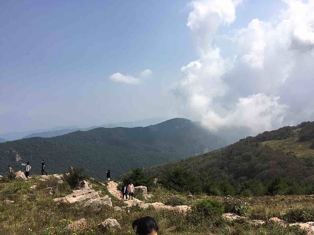 沁水历山国家原始森林公园