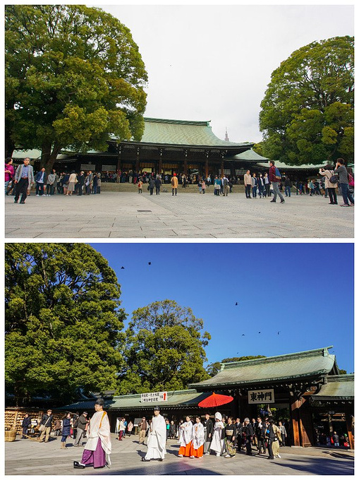 东京半月 此去经年 归来 像从没离开过 东京旅游攻略 游记 去哪儿攻略