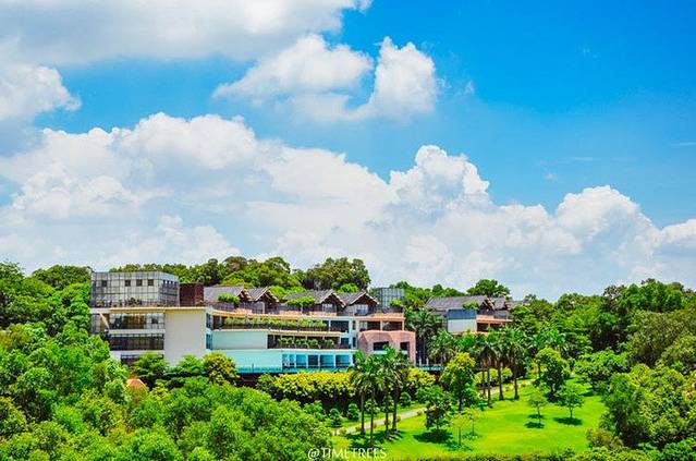 莲花禅寺