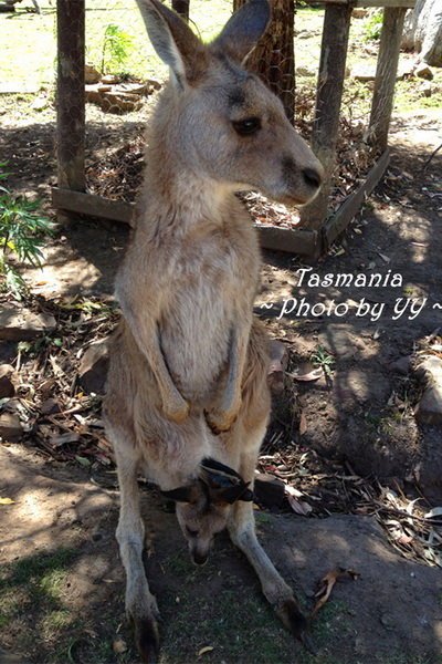 波诺朗野生动物保护区