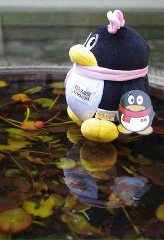 不过一切都是那么的美好。金庸书院,陈阁老宅