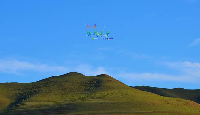 沽源坝上草原