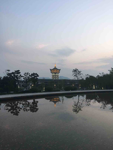 2017好玩,表演节目龙虎情好看_龙虎山评论