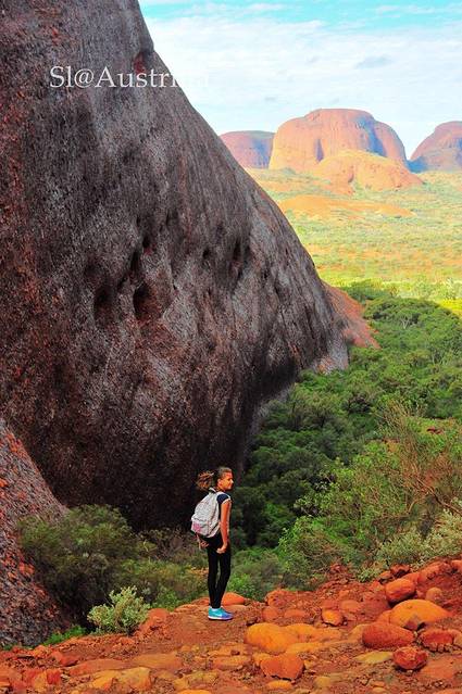 "南方大陆"的人文风光
