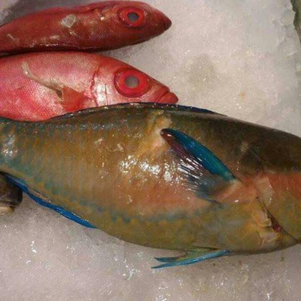 后壁湖海鲜市场