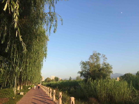 渭河公园