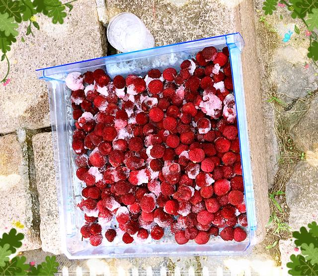 楠溪江中心区漂流