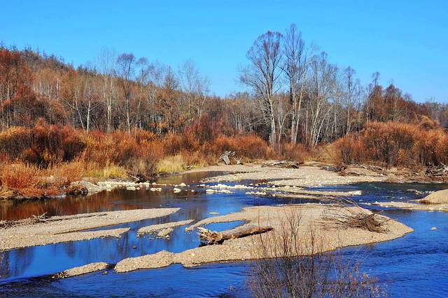 莫尔道嘎国家森林公园