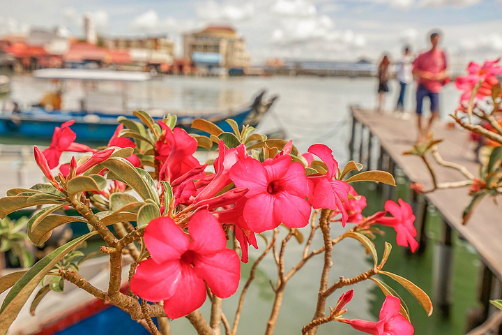 来姓周桥的游客很多,姓周桥也演变成了一个热