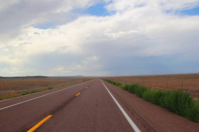 花半个月的时间享受加州的阳光