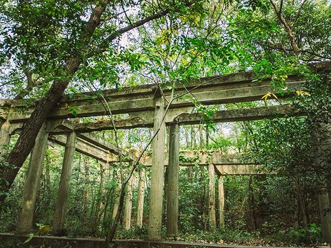 谭延闿墓旅游景点图片