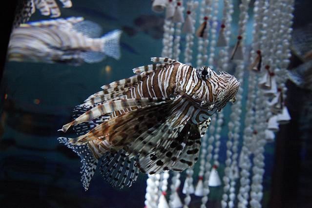 哈尔滨极地公园·海洋馆