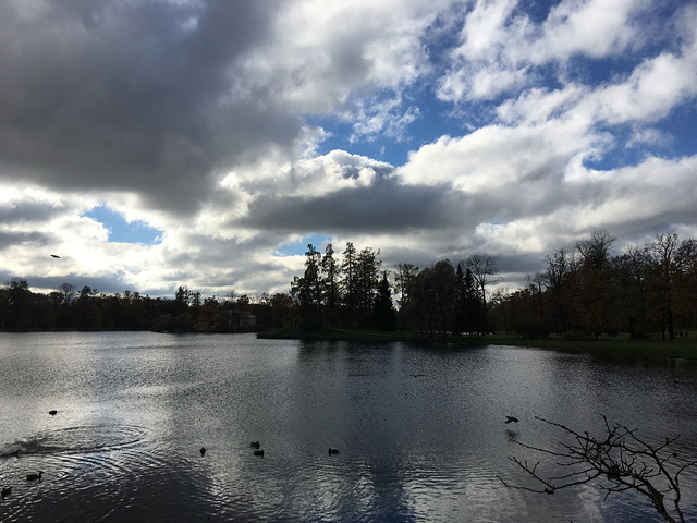 花园湖景最为喜爱的叶宫纪念金币在自动售货机投币200卢布买的等候