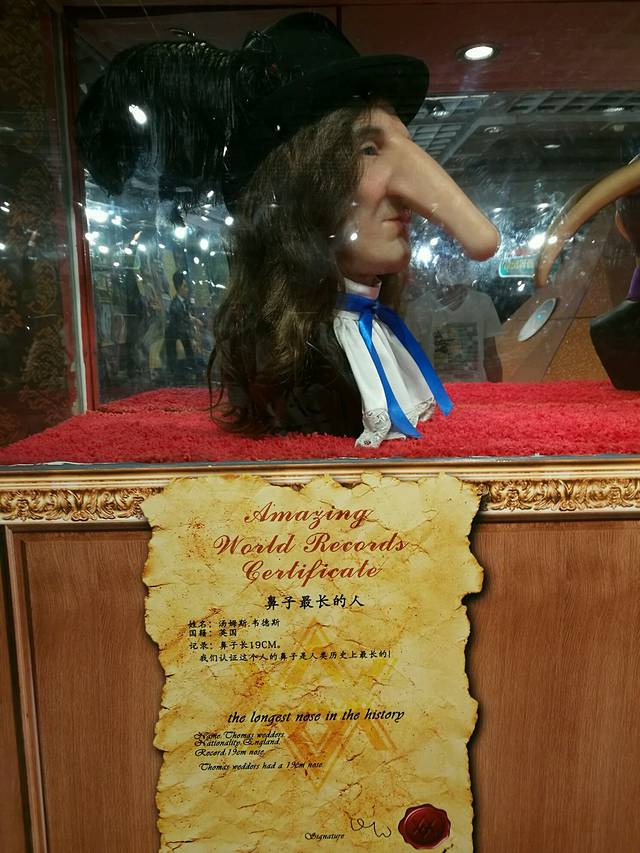 信不信由你博物馆