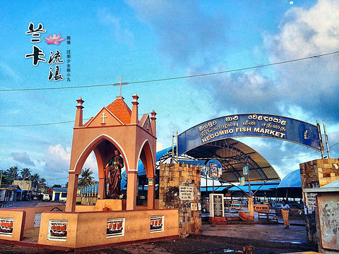 尼甘布中心鱼市场