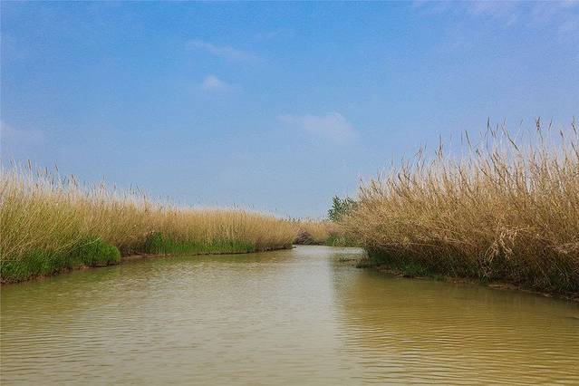 泗洪洪泽湖湿地景区