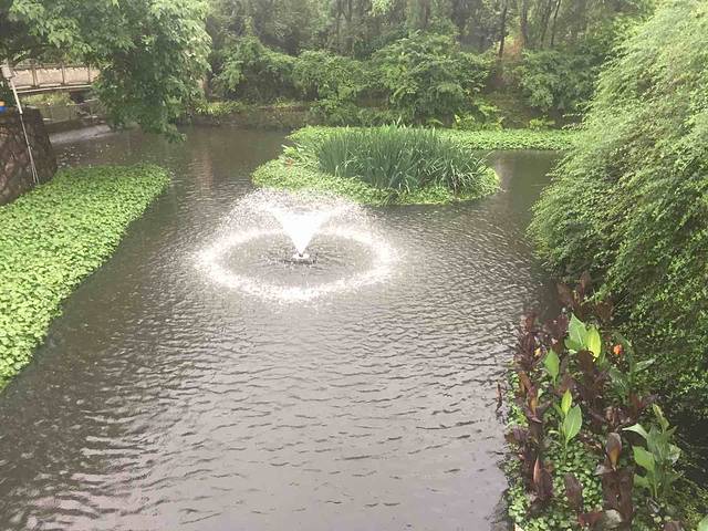 台州市市民广场