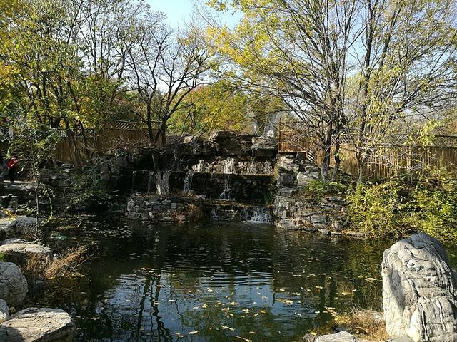 北宫国家森林公园